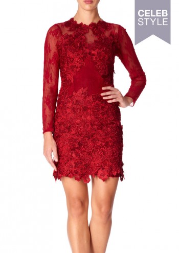 FORVER UNIQUE - Arianna Red mesh and lace applique fitted dress