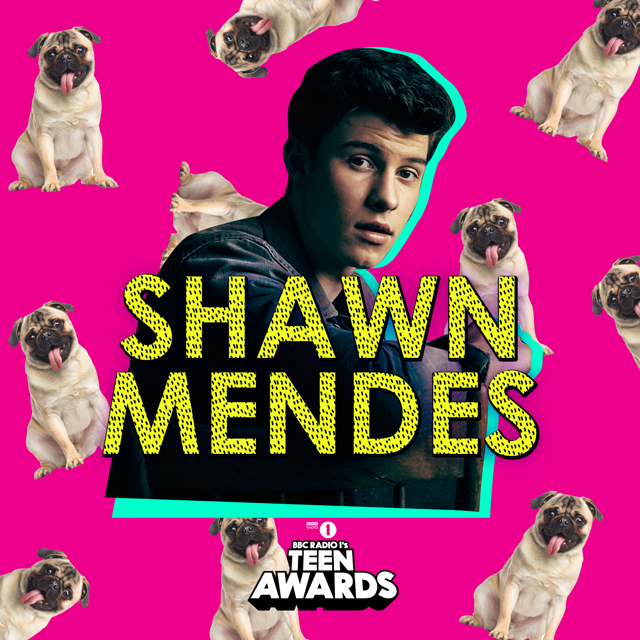 Radio 1's Teen Awards - Shawn Mendes