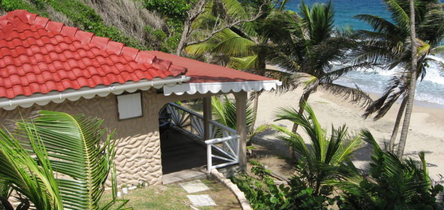 Beach front Palm cottage - This is the cottage I resided in