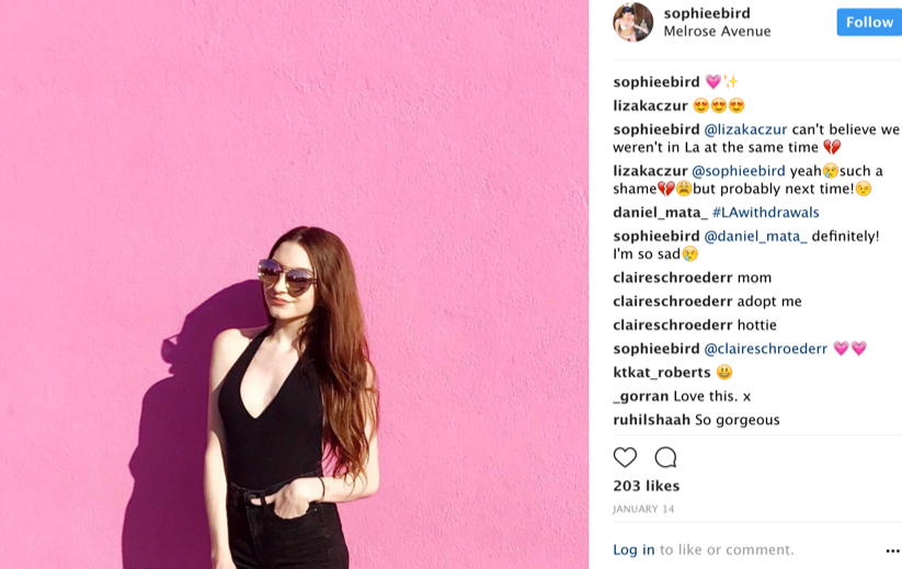 Iconic Pink Wall