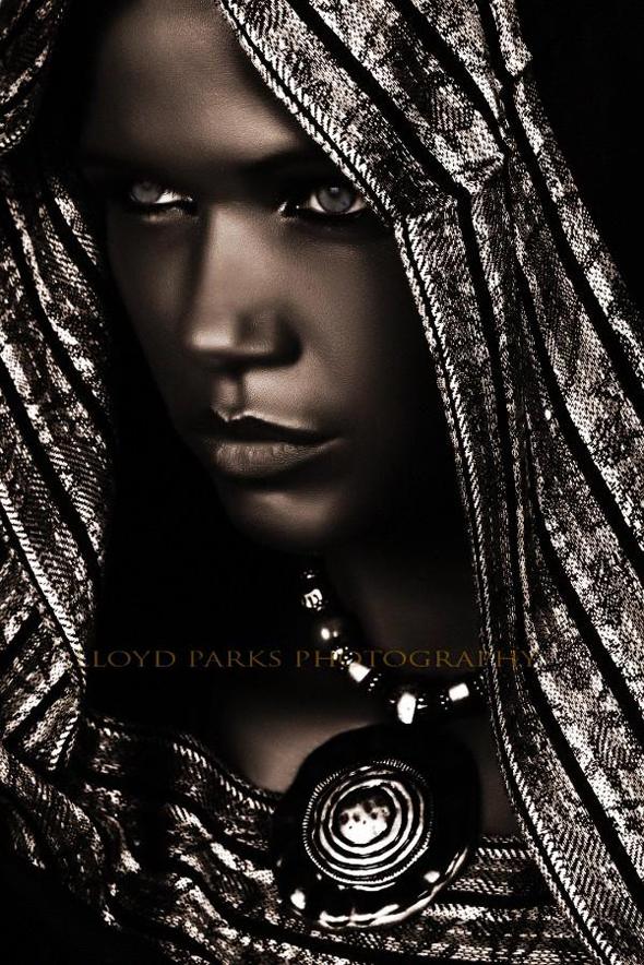 lloyd-parks3