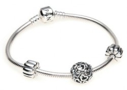 john-greed-pandora-clips-starter-bracelet