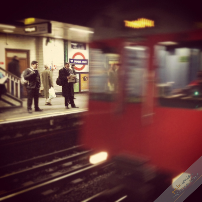 gavin conlan INSTAGRAM PRINTS