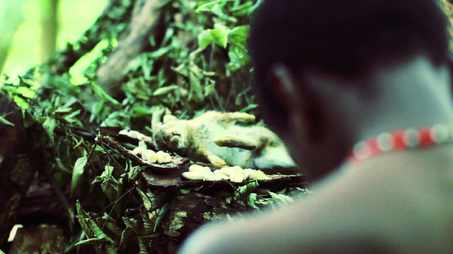 Shadez The Mistfit keeps it smooth