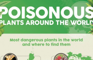 Plants and flowers can be a source of pleasure, joy and pride in the garden and home.