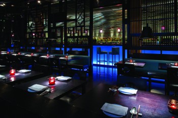 07_cage03_0237_300px_CMYK