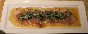 Kouzu yellowtail