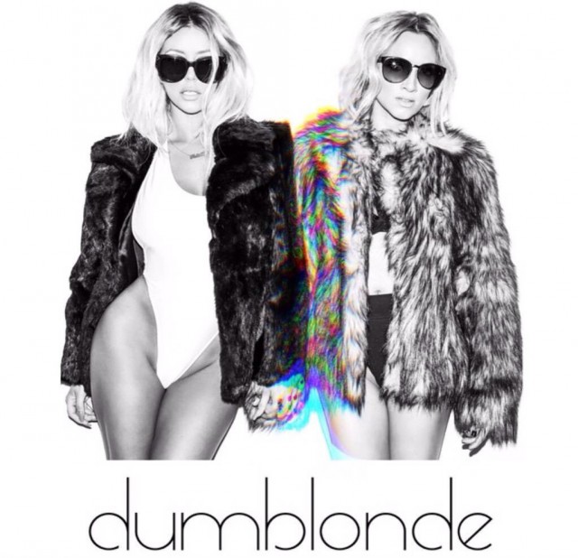 dumblonde 1