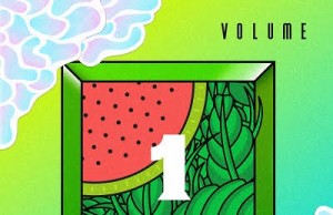 Premier: Kungs and Mazambo-To Describe You