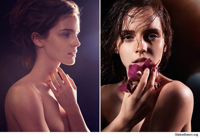 cc3tmwwm5ojk19qlbtwz