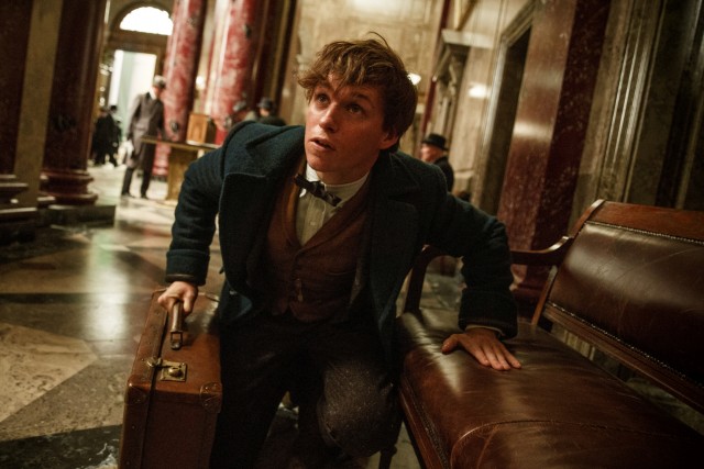 Fantastic Beasts and Where to Find Them Official Teaser Trailer Finally Lands