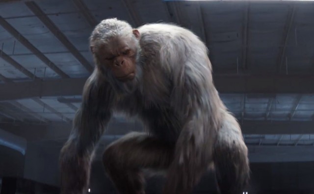 screen_shot_2015-07-09_at_10.53.18