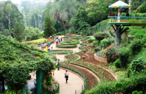 5 Most beautiful botanic gardens in the world botanical gardens