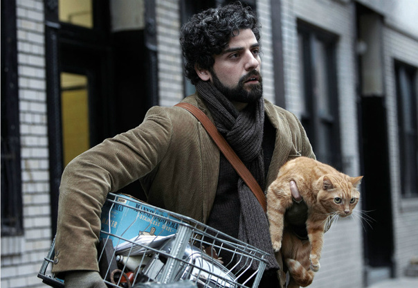 Inside-Llewyn-Davis-cat