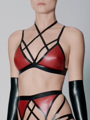 William Wilde X Coco de Mer