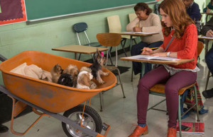 Unbreakable Kimmy Schmidt IS BACK, Season 2 Trailer released