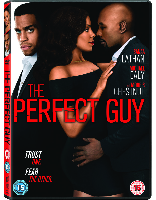 the perfect guy dvd packshot
