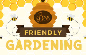 Suttons Seeds examines the importance of bee-friendly gardening