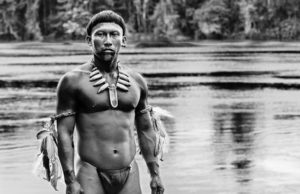 Embrace of the Serpent DVD Review