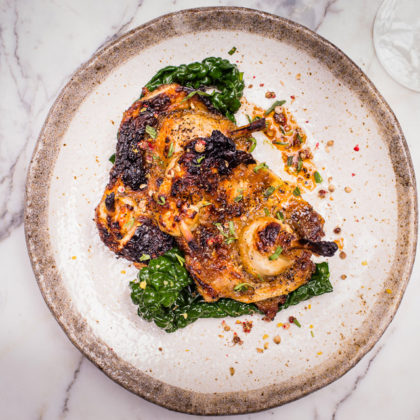 Bluebird's Baby Chicken