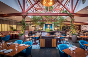 Bluebird Chelsea: A classic rediscovered