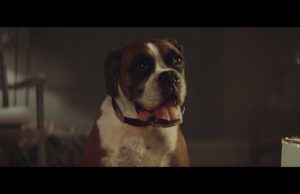 The John Lewis Christmas advert is here