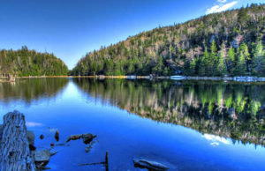 How to Work out What you Really Want in Life