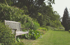 Easy home improvements you can make in 2017 garden