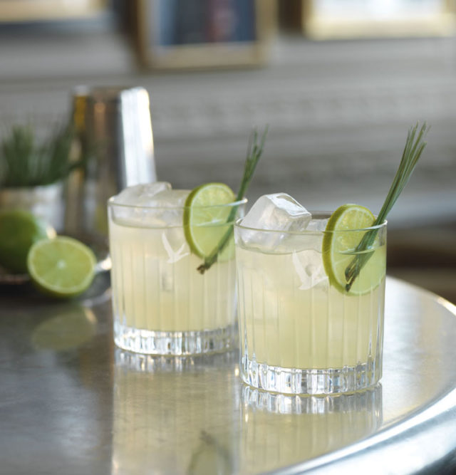 GREY GOOSE BEAR NECESSITIES