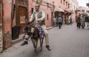 Army of One DVD Review