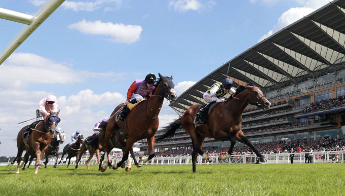 ascot raceday