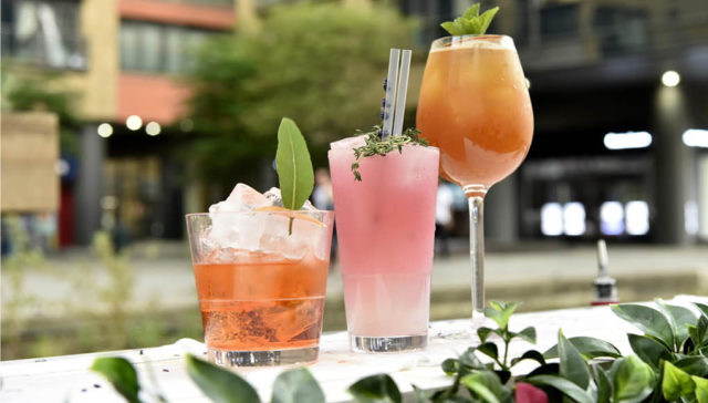 botanical bar drinks gin