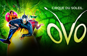 25% Off tickets for Cirque du Soleil OVO in London at Royal Albert Hall cirque du soleil ovo london discount tickets