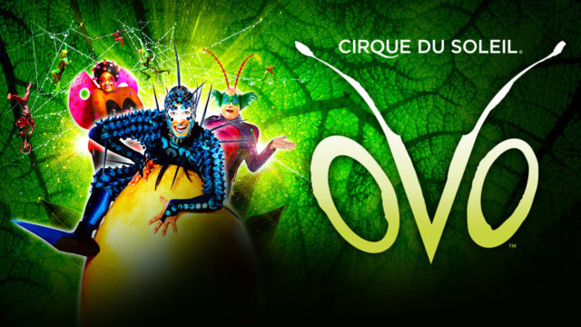 cirque du soleil ovo london discount tickets