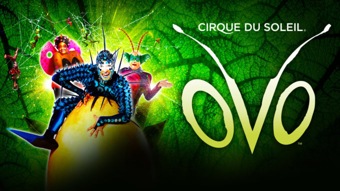 cirque du soleil ovo london discount tickets cirque du soleil ovo london discount tickets
