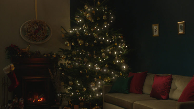 Rankin Coco De Mer 12 days of Christmas