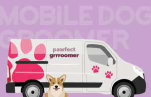 Give your career a boost using a van Drive your career with your own van business