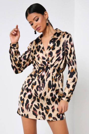 Leopard Print Wrap Dress