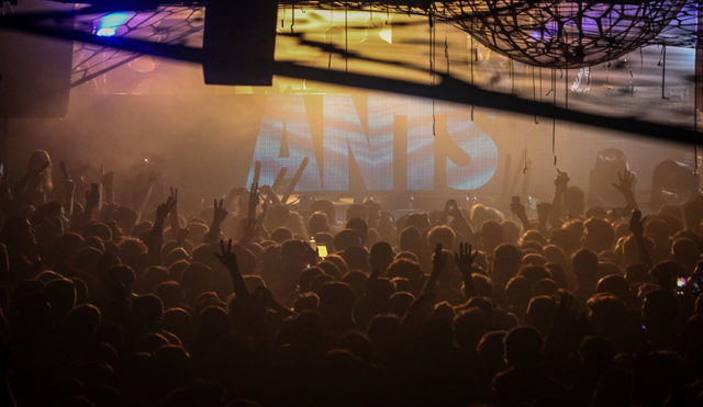 ANTS make Fabric debut on Friday 2nd November ants fabric