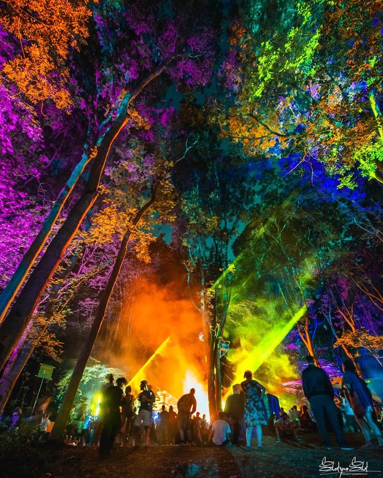 Noisily Festival