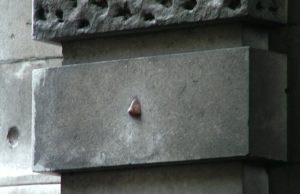 The Nose at Admiralty Arch