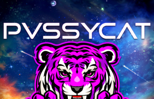 DJ and Producer PvssyCat releases debut album ‘The PvssyCat Project’ Pvssycat Project