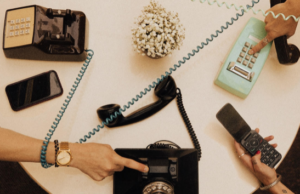 Interview: Introducing Alt Bloom Alt Bloom