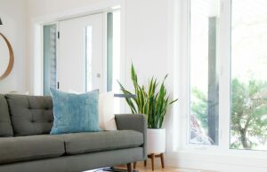 What Window Dressing Should You Have In Each Room