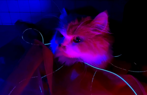 MOON releases latest album ‘1.5’