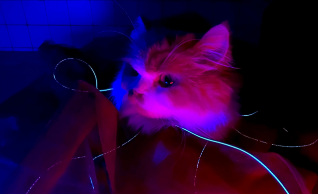 MOON releases latest album ‘1.5’