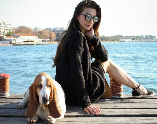 3 Important Points To Consider Before Getting A Dog This Summer