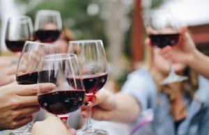 photo of people drinking wine and cheers