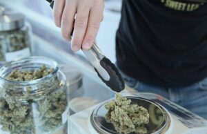 The UK’s Booming Medical Cannabis Industry: A New Era of Healthcare