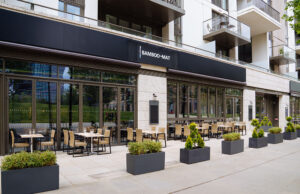 Bamboo Mat Stratford Review – A Peruvian-Japanese Fusion Feast